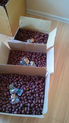 自家产新疆大枣，天然小枣，批发零售，品质之选