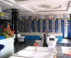 常州特瓷卫浴新品亮相 以“Teci2011”系列开启建材大饰界新篇章